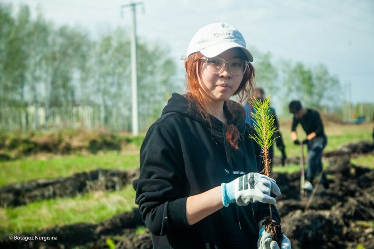 Начнем с себя: Мещанский лес возрожден!