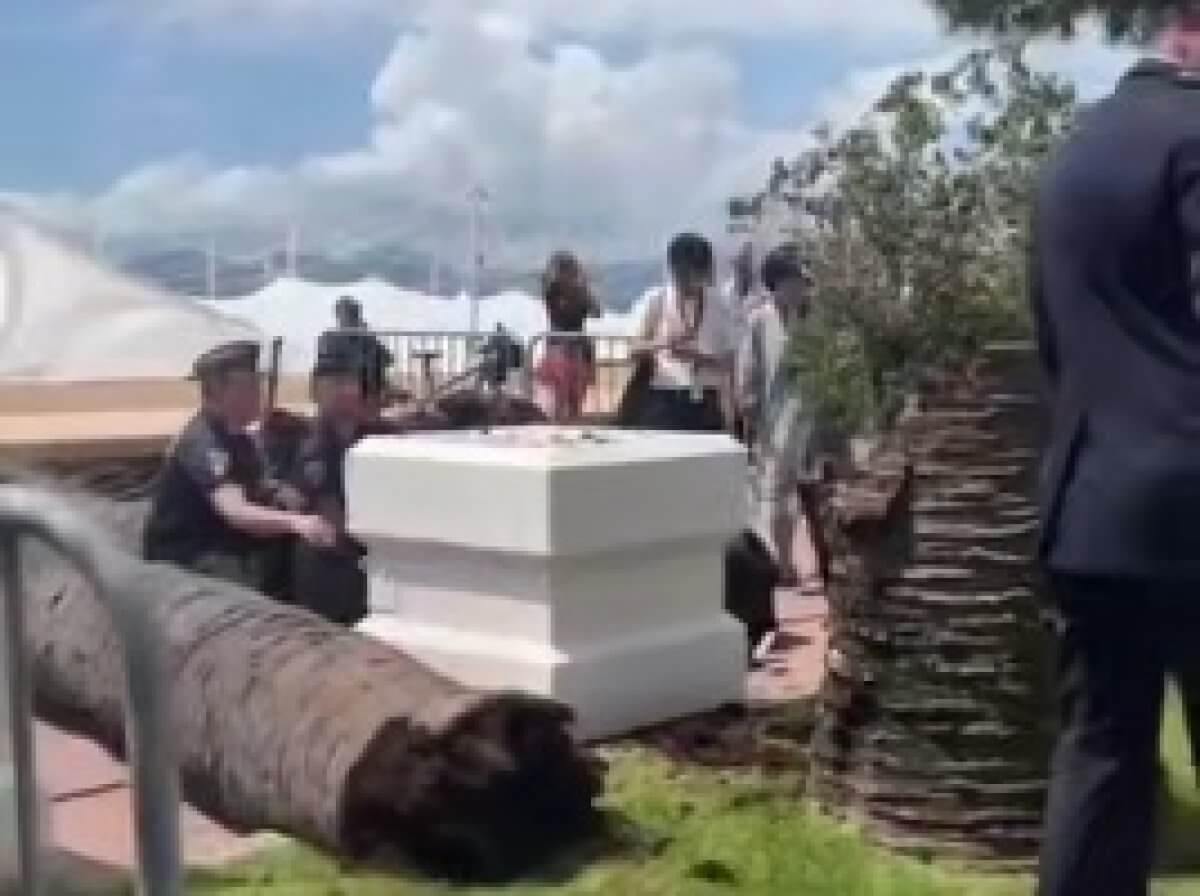 Гость Каннского кинофестиваля получил по голове пальмовой ветвью
