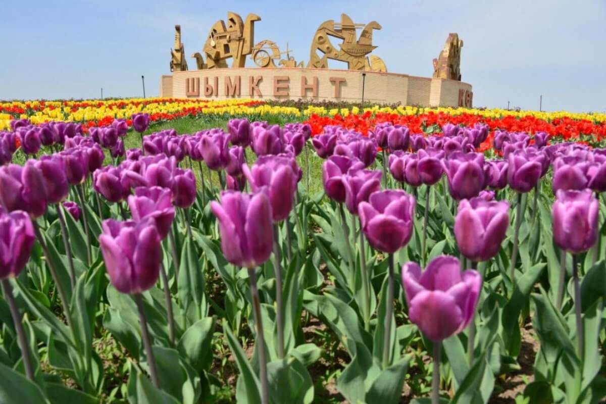 Почему Шымкент стал магнитом для туристов?