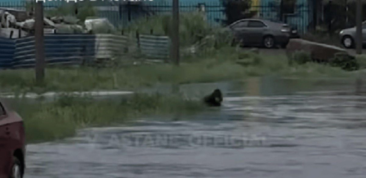 Мальчик едва не утонул, упав в лужу в Астане