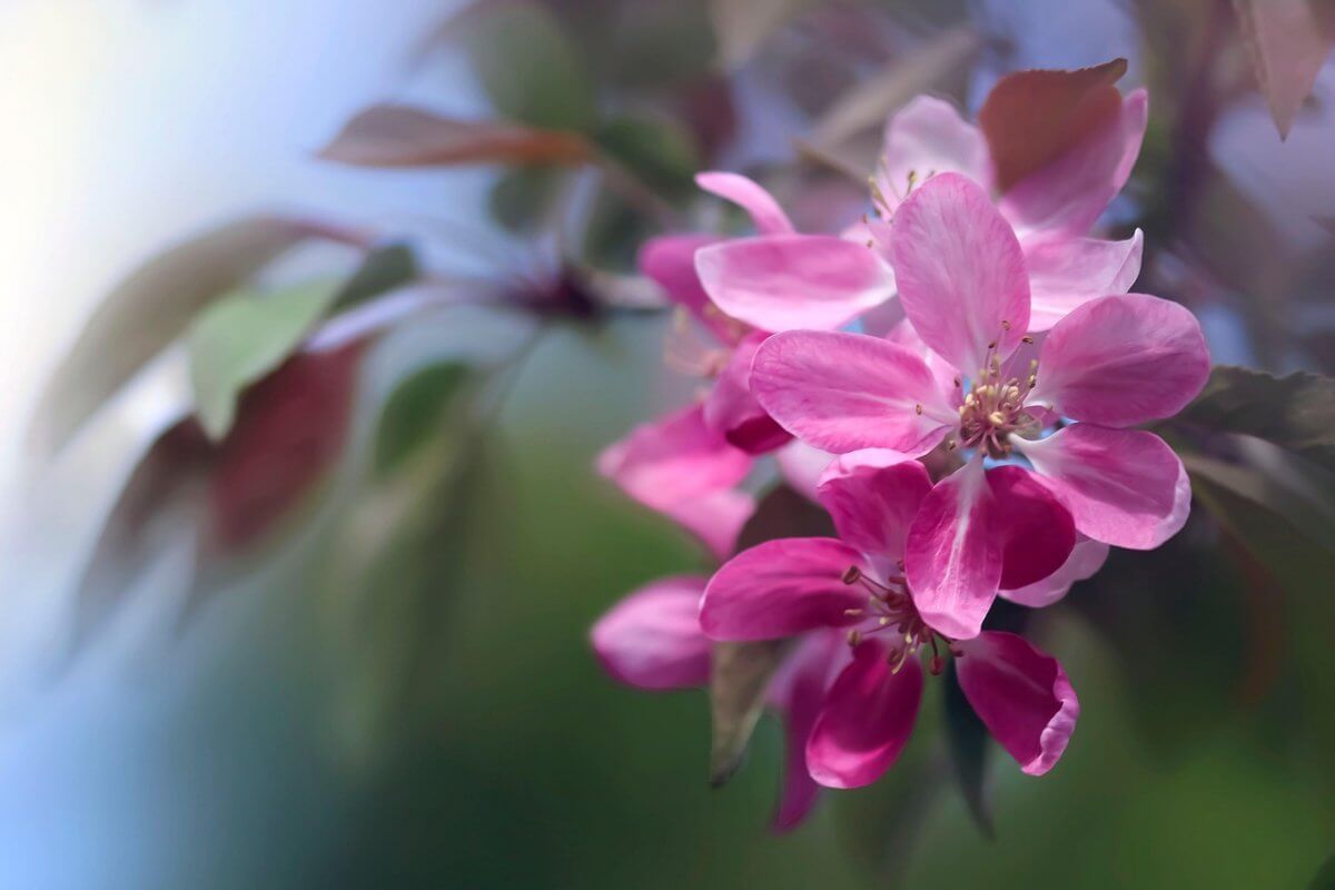 Что принесет погода Алматы с понедельника по пятницу