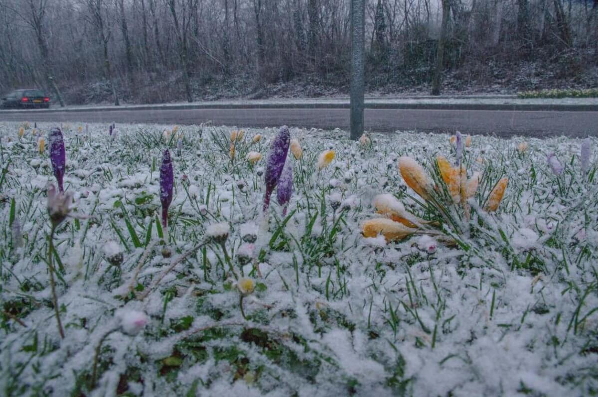 Новосибирск засыпало снегом (ВИДЕО)