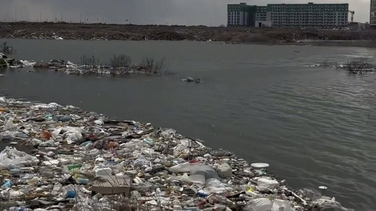 "С глаз долой – из сердца вон!": активисты добились ликвидации нелегальной свалки в Астане