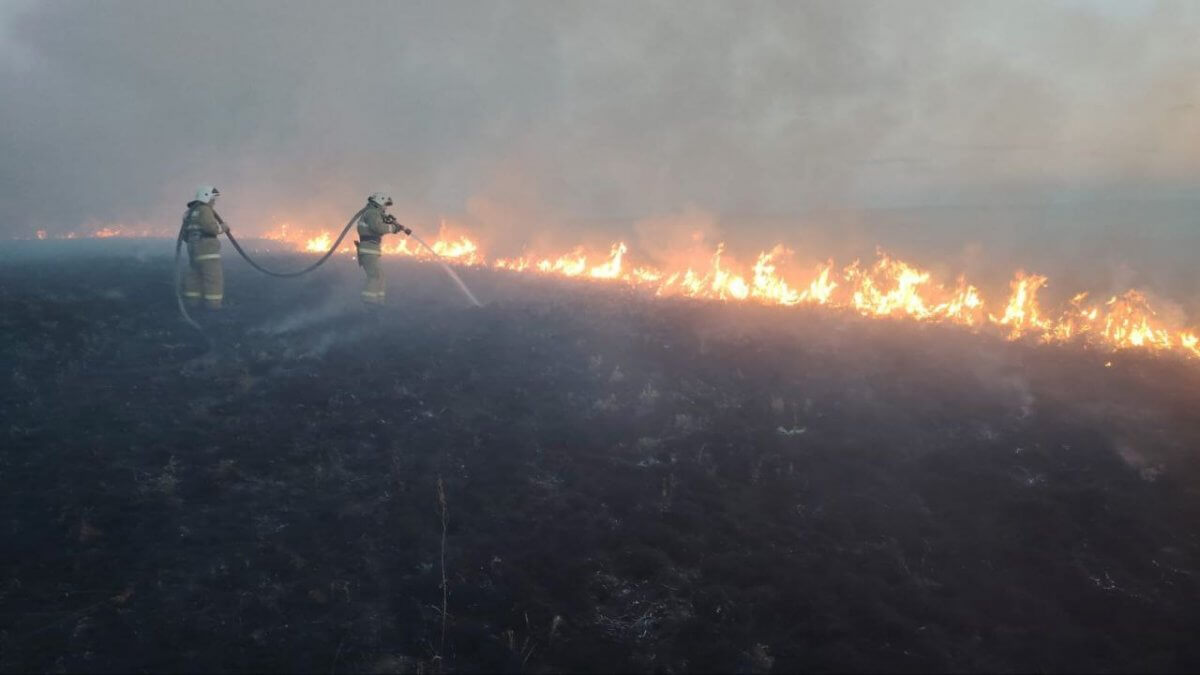 Степь горела в Акмолинской области
