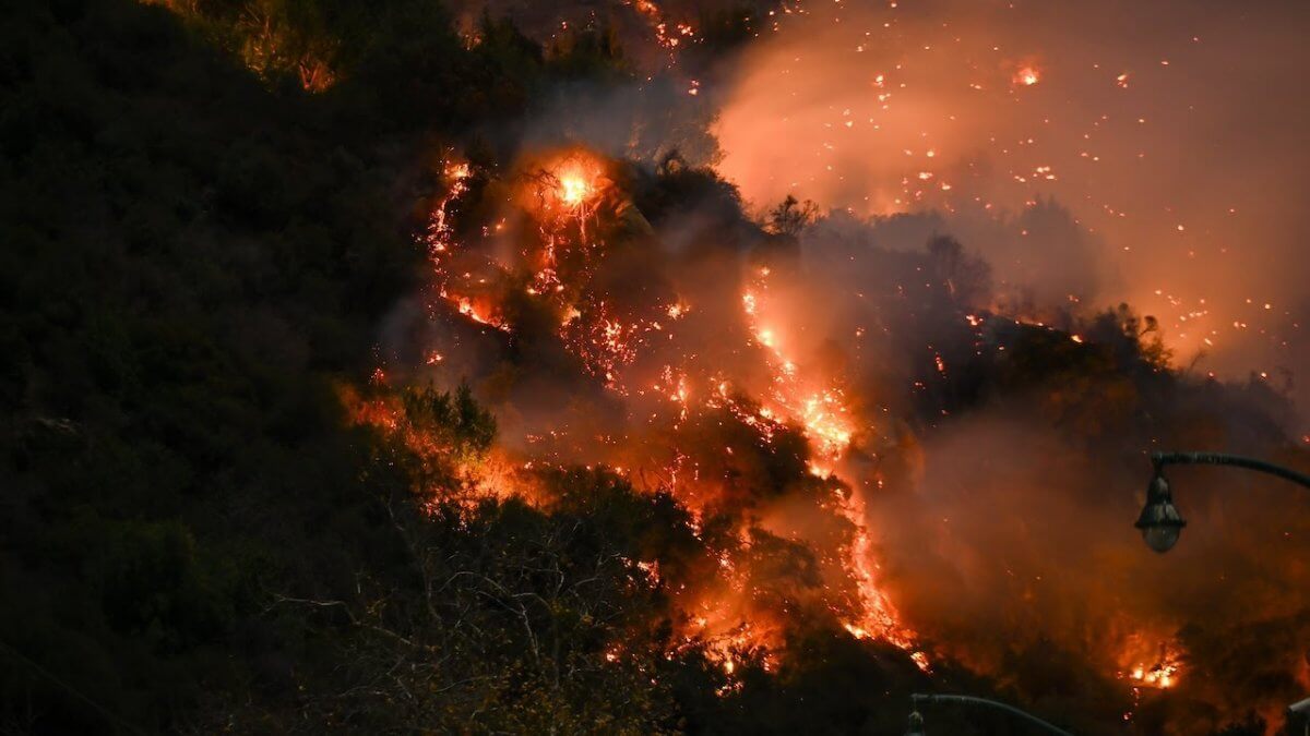 В заповеднике "Ак жайык" горит тростник