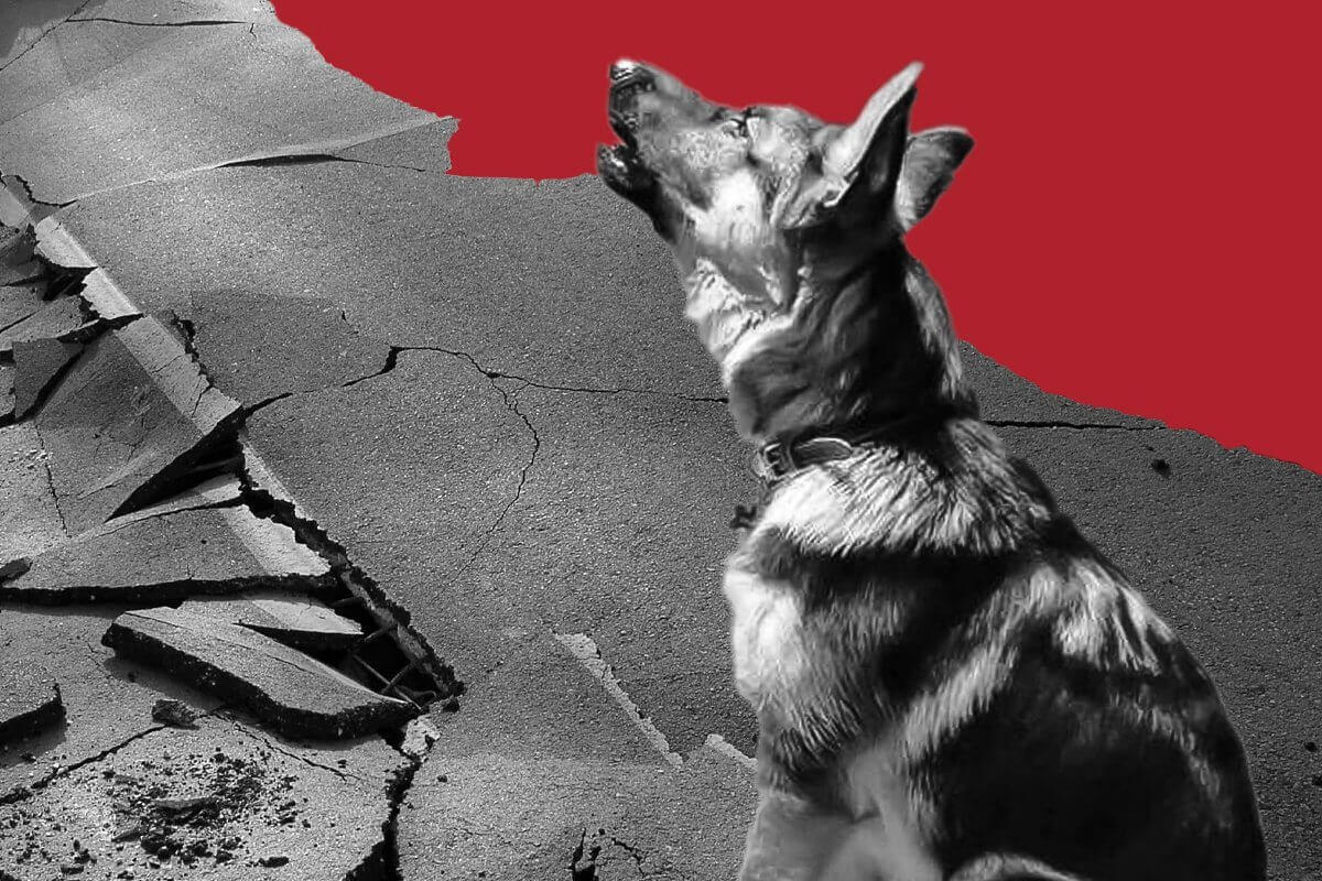 Сильное землетрясение в Турции – один человек погиб