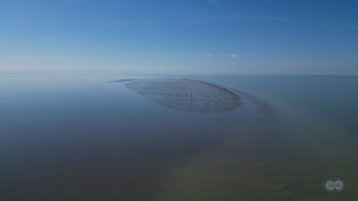 Мрачный прогноз в связи с недавним открытием на Каспии сделали ученые