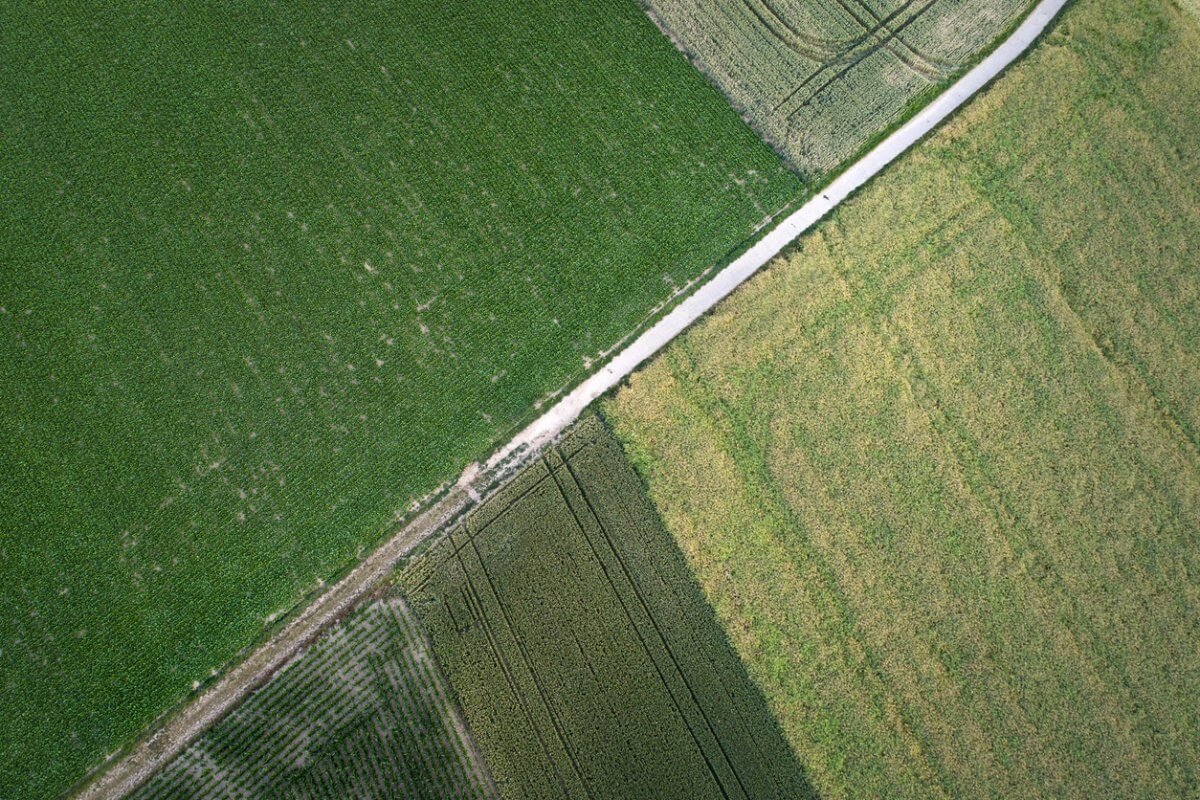 Половину из возвращенных в госсобственность земель распределили в Казахстане