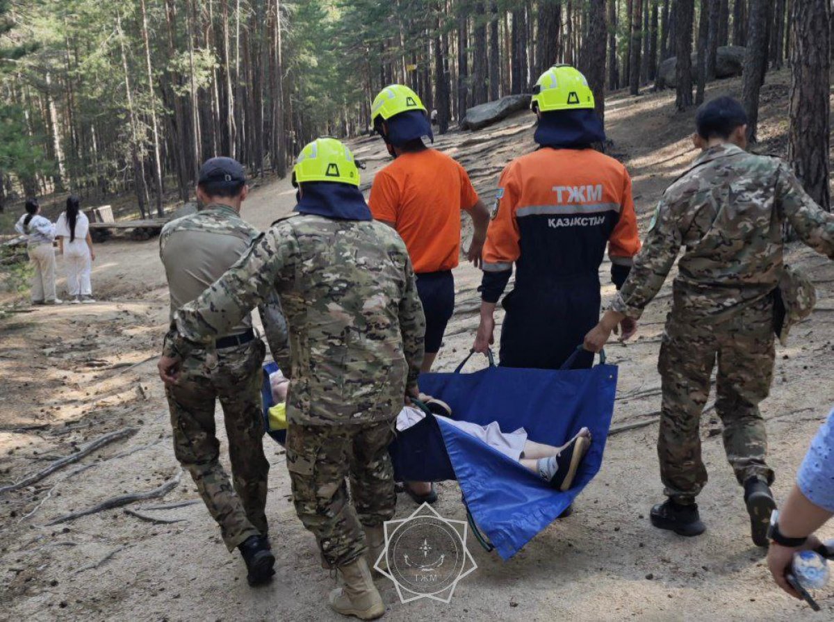 Пожилая женщина пострадала в Бурабае