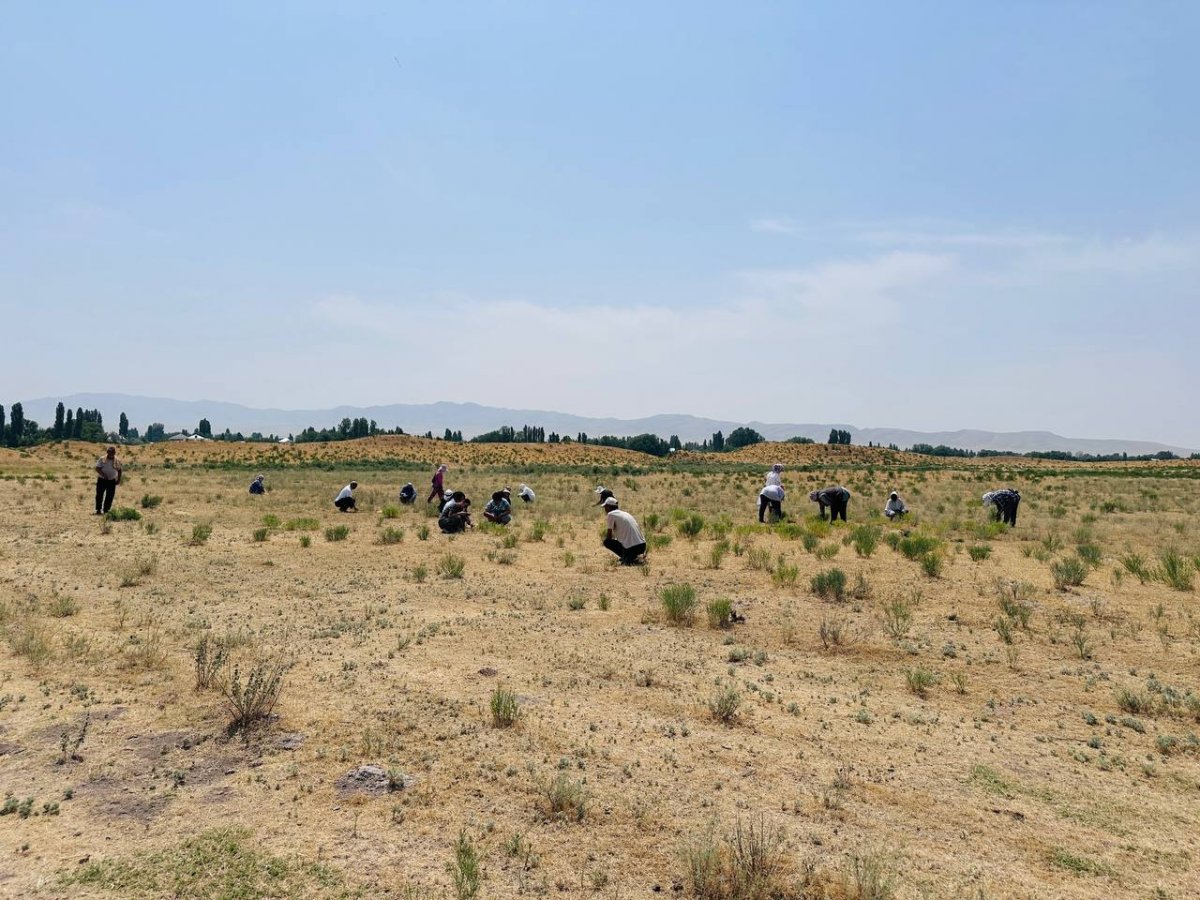 AMANAT: Забота о родной земле – общее дело