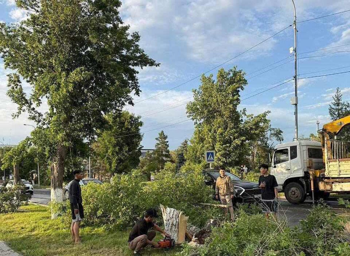 Последствия урагана устраняют в Павлодаре