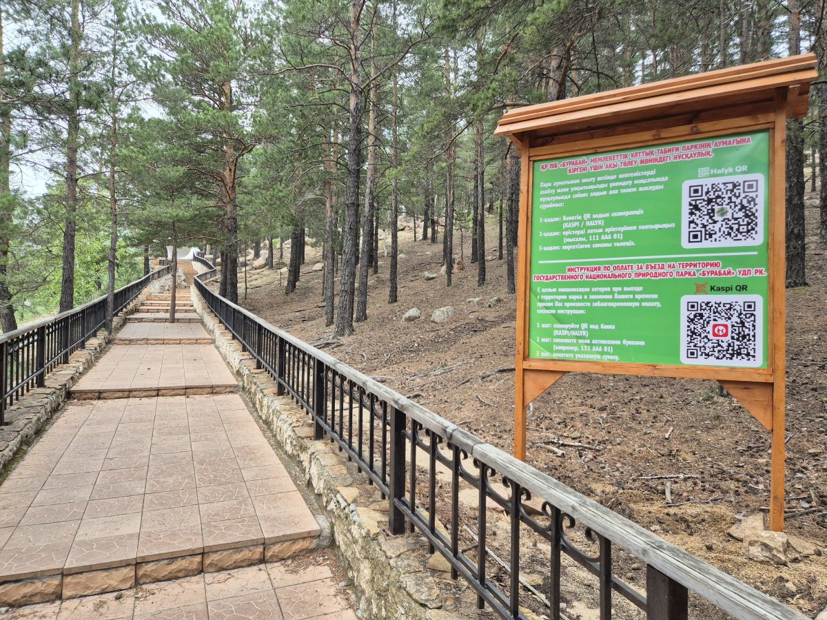 Едешь в Бурабай? Вот как не застрять на выезде