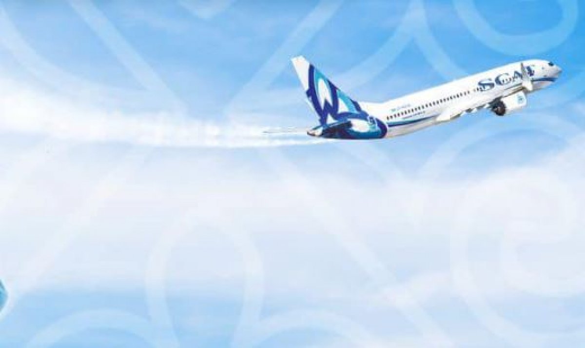 SCAT заявила о попадании птиц в воздушные суда