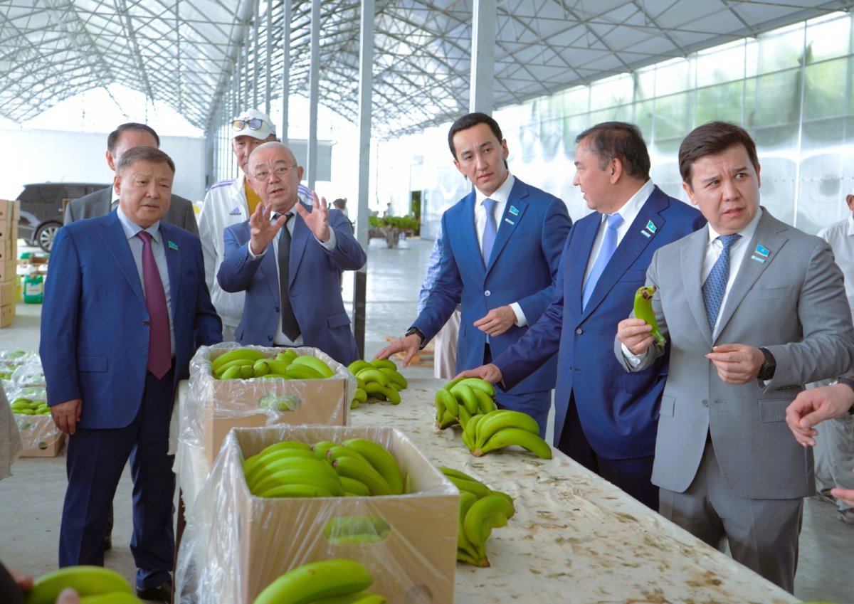 Аманатовцам показали, как выращивают бананы и разводят рыбу в Туркестанской области