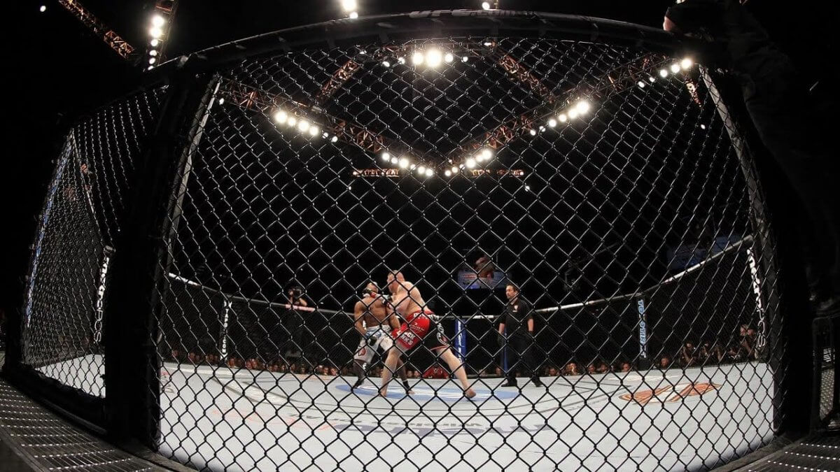 Боец из Казахстана впервые выступит в UFC BJJ