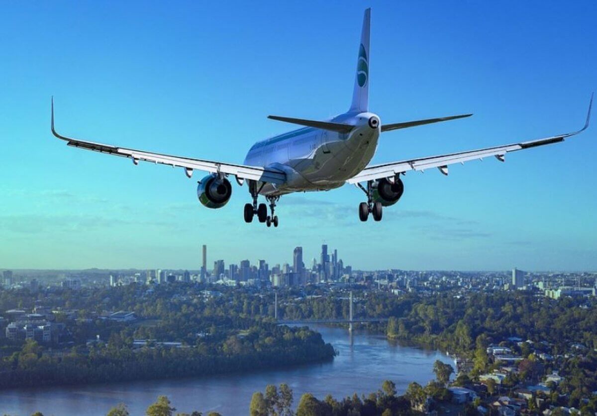 Гриф попал в двигатель нового Airbus