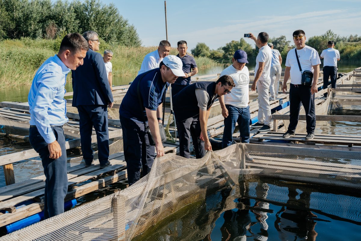 “Ауыл аманаты”: около 1,5 тыс. новых рабочих мест создано в селах ЗКО