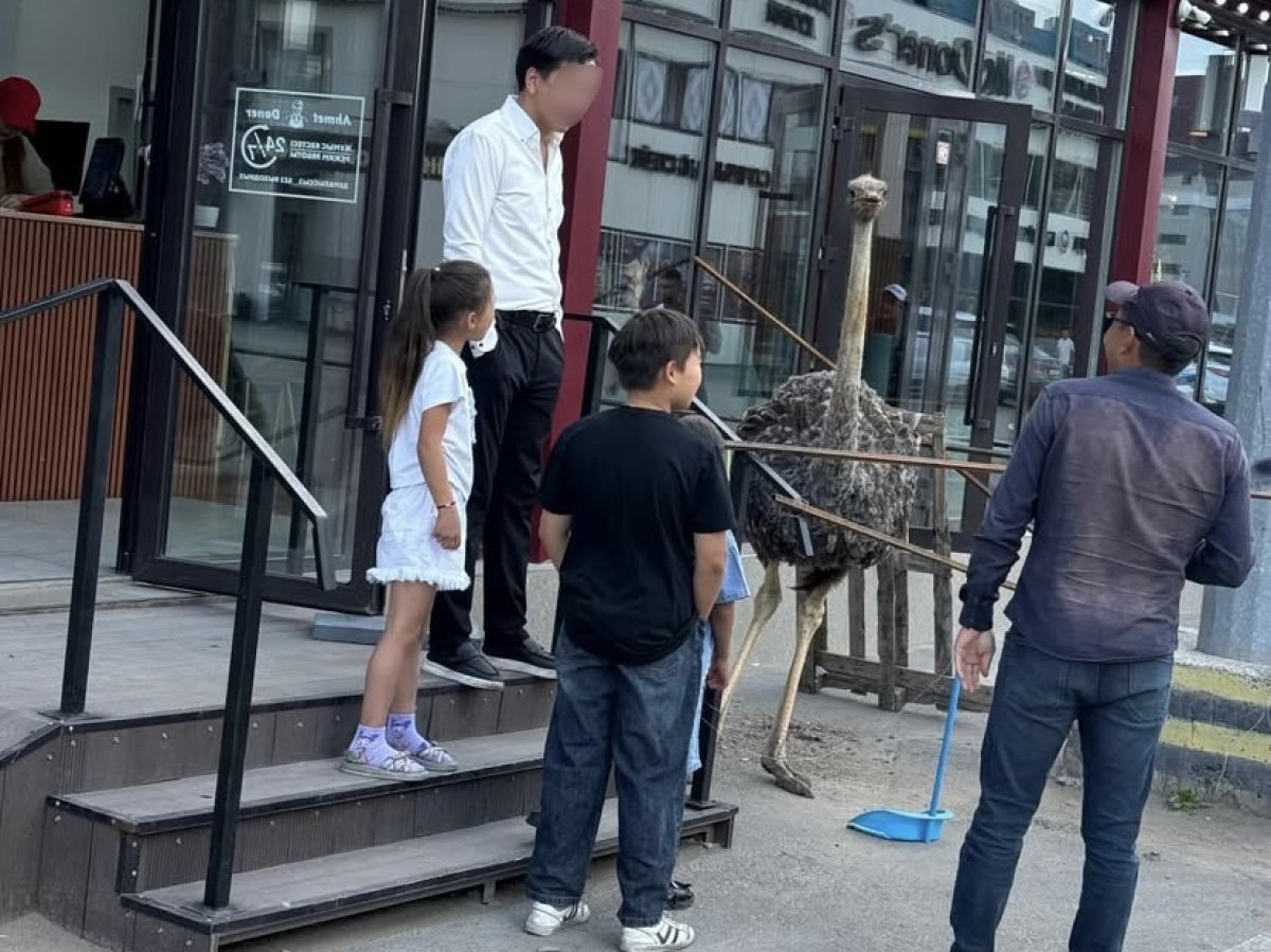 Живого страуса используют для привлечения внимания в донерной Астаны