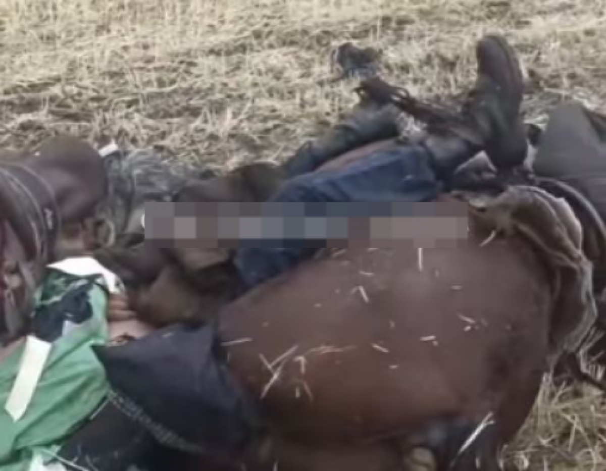 Молния убила всадника, лошадь и собаку в области Жетысу