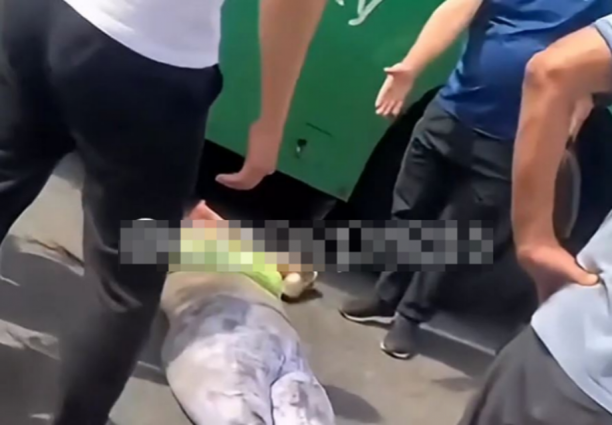 Автобус задавил насмерть женщину в Алматы (ВИДЕО)