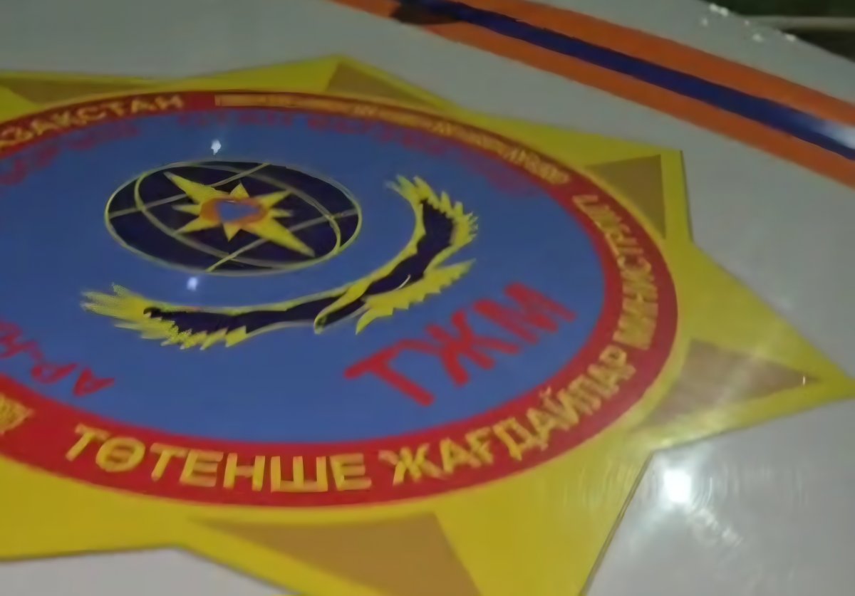 Спасатели помогли летучей мыши вылететь на волю в Астане