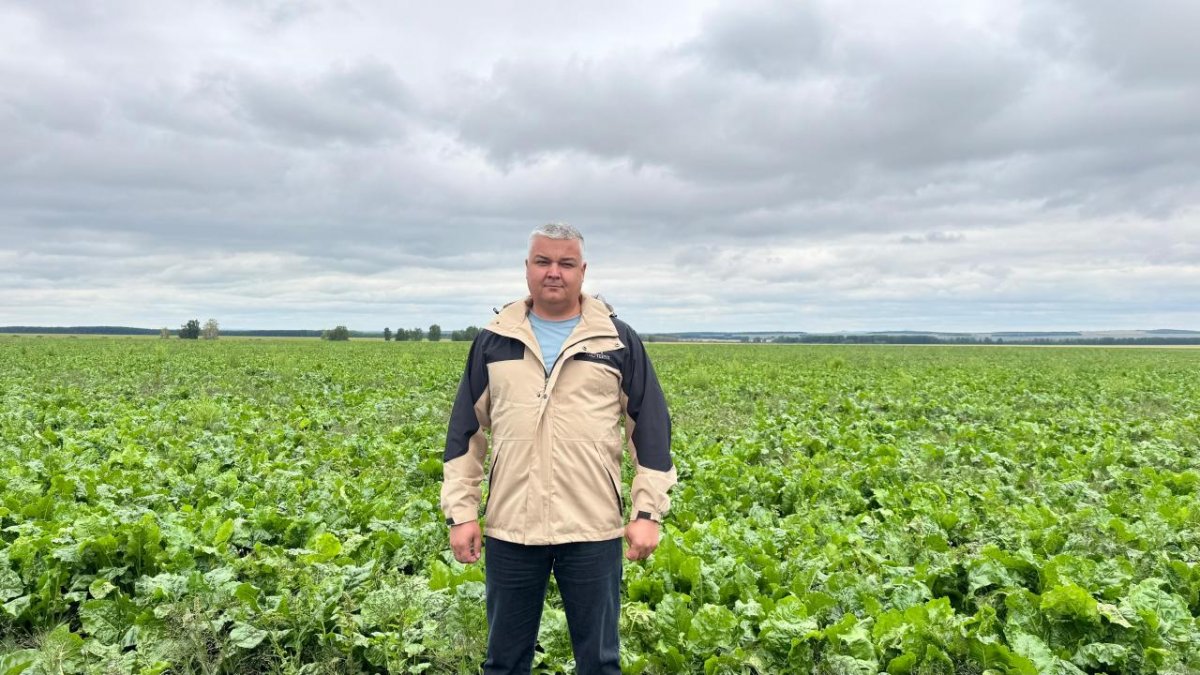 Как льготное топливо и техника помогают фермерам Акмолинской области повысить урожайность