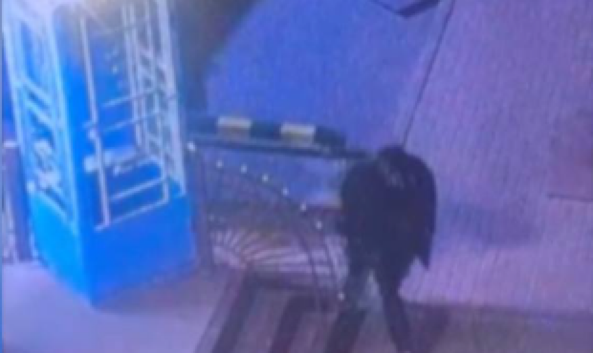 Сейф с деньгами вынесли из мебельного под камерой наблюдения в Астане