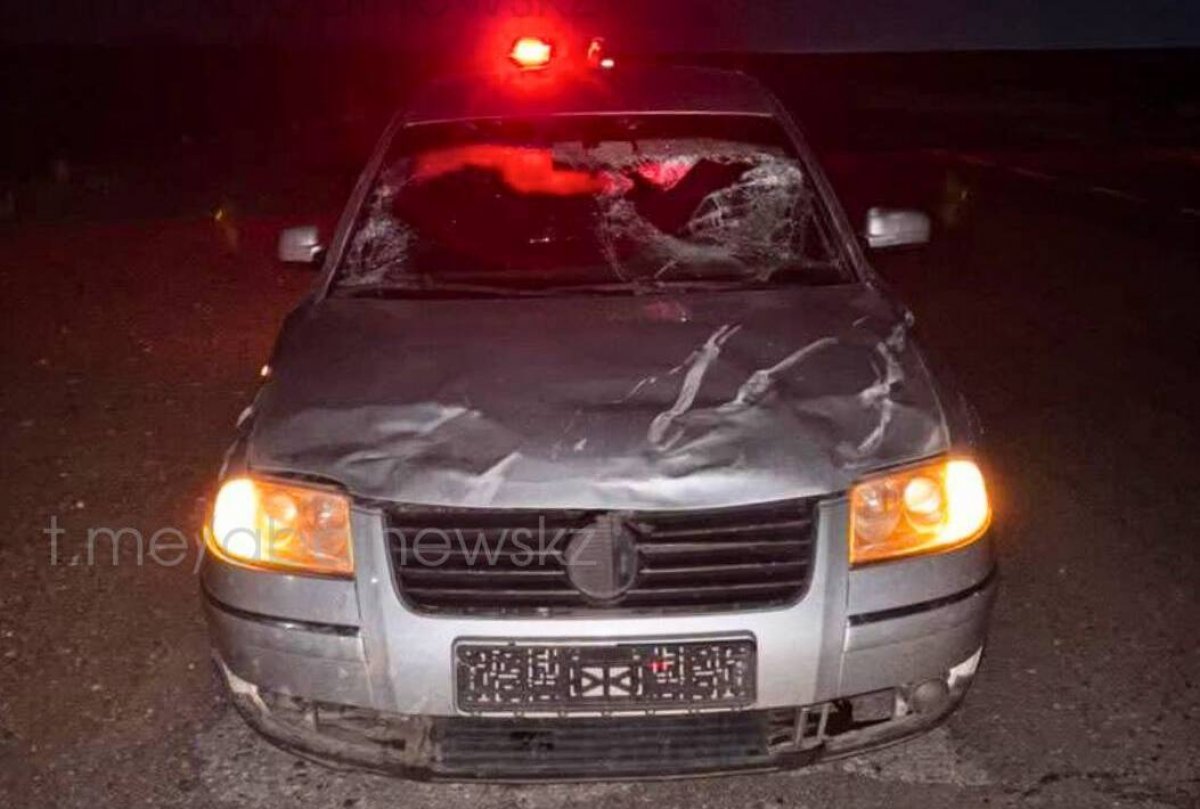 Болельщики ФК "Елимай" попали в ДТП из-за лошадей