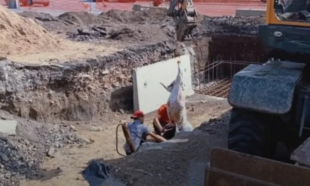 Рабочие разделывали барана на глазах у прохожих в Темиртау