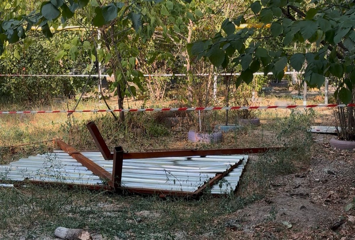 Самозахват сада в Алматы: AMANAT помог местным жителям вернуть земельный участок