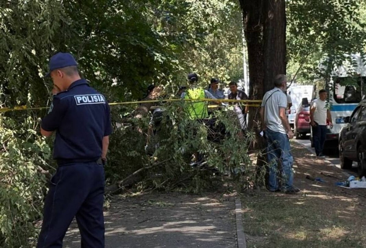 Ветка от дерева убила девушку в Алматы