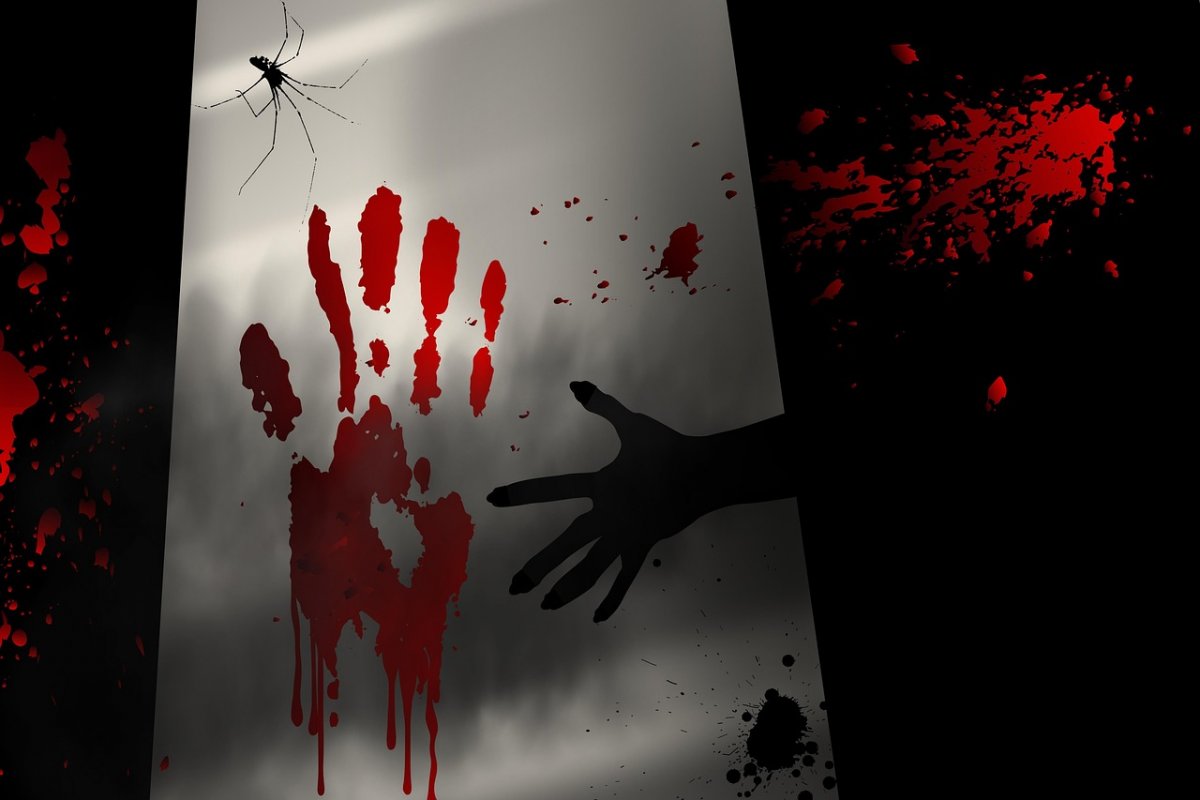 Бездомный убил беременную и насадил на кол голову ее супруга