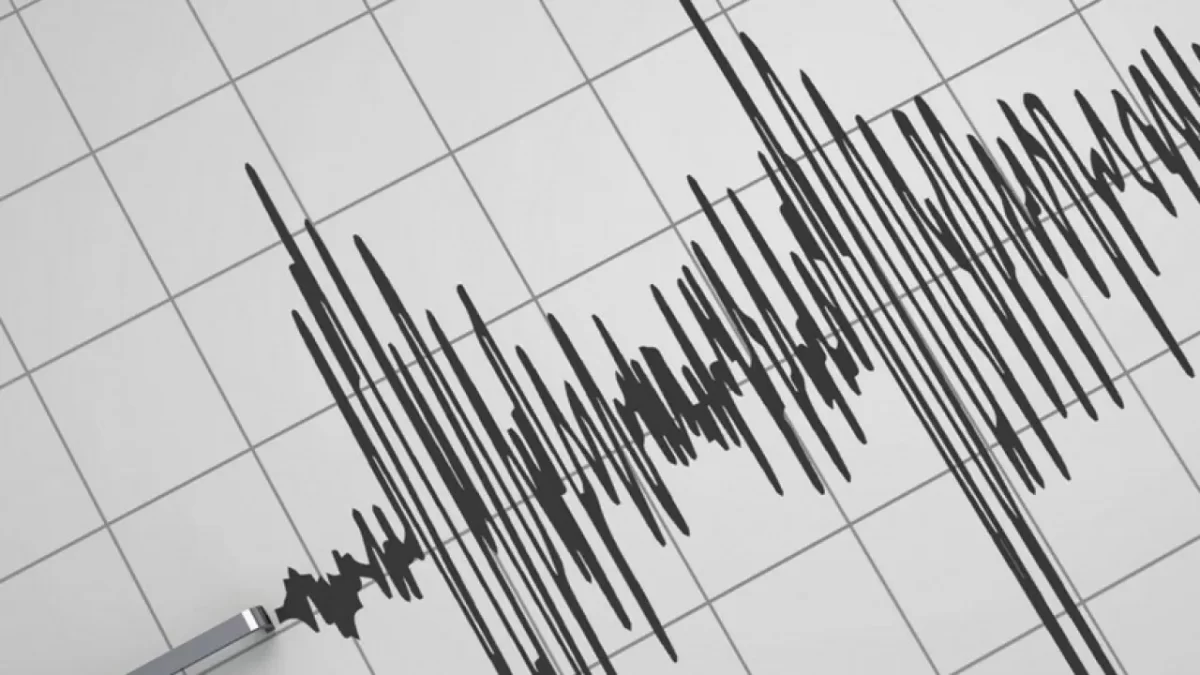 Землетрясение у берегов Kaмчатки: 50 подземных толчков за сутки