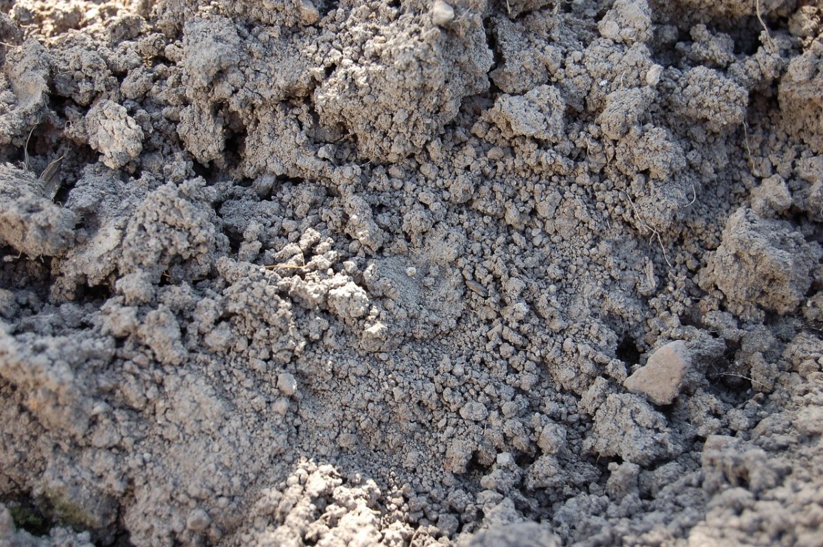 Несчастный случай в Рудном: проводится досудебное расследование