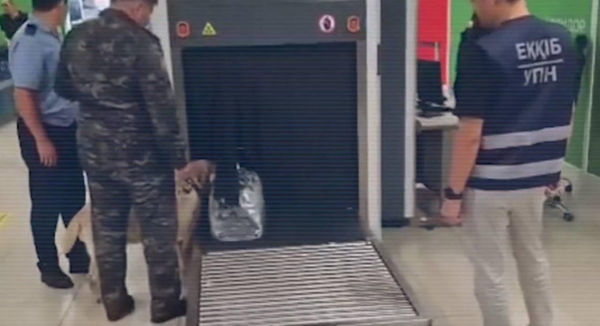 В аэропорту Алматы задержан иностранец с более 3 кг марихуаны