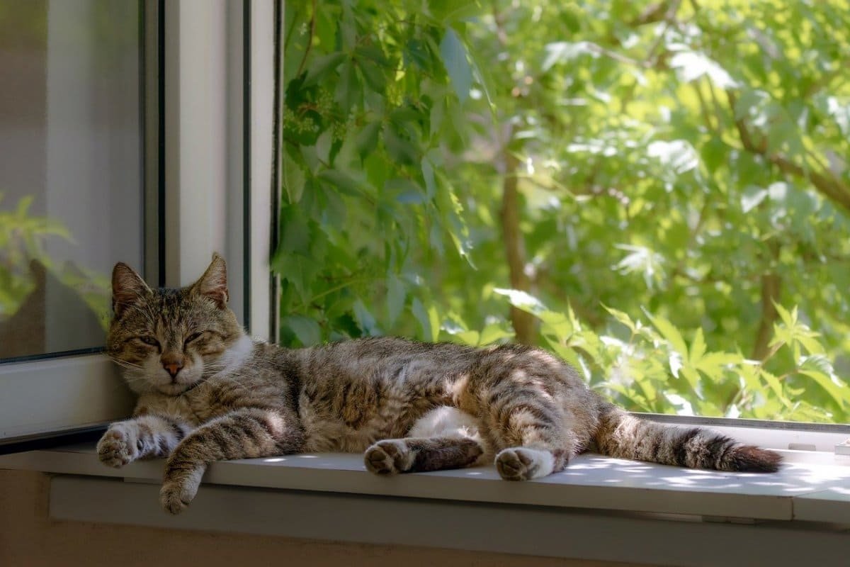 Hи капли дождя: в Aлматы установится стабильная жара