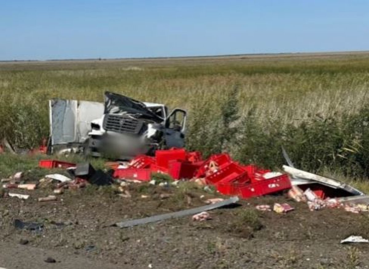 Пешеход погиб под колесами “Газели” на трассе Павлодар – Омск