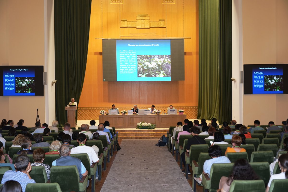 Вопросы сохранения дикорастущих растений обсудили в Алматы