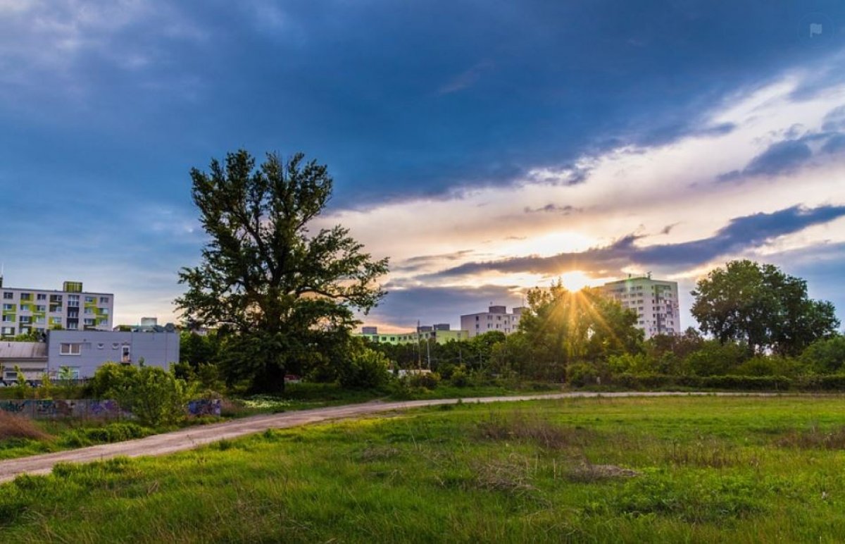 Жаркую погоду обещают жителям Шымкента