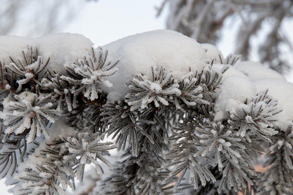 Не рано ли? Снег выпал в Акмолинской области (ВИДЕО)