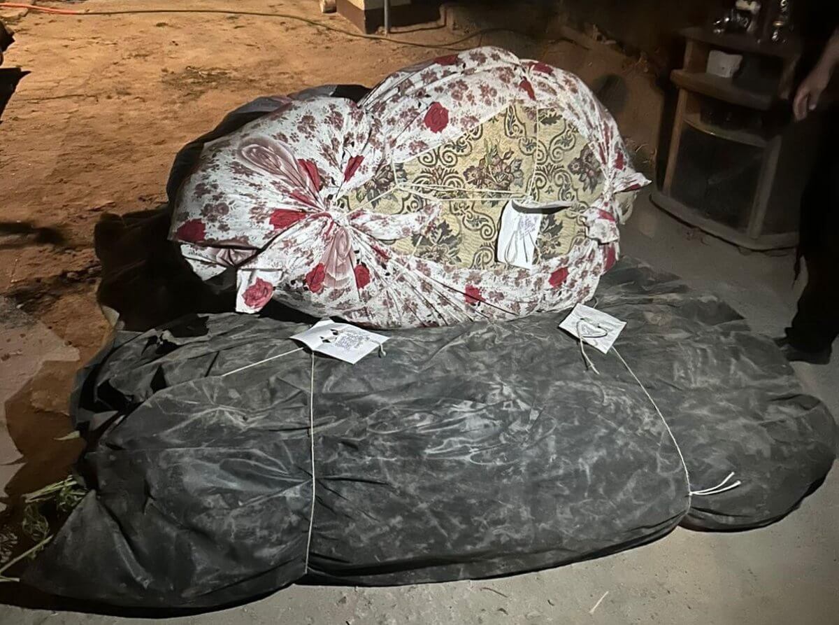 Более 140 кустов конопли изъяли полицейские у жителя Жамбылской области