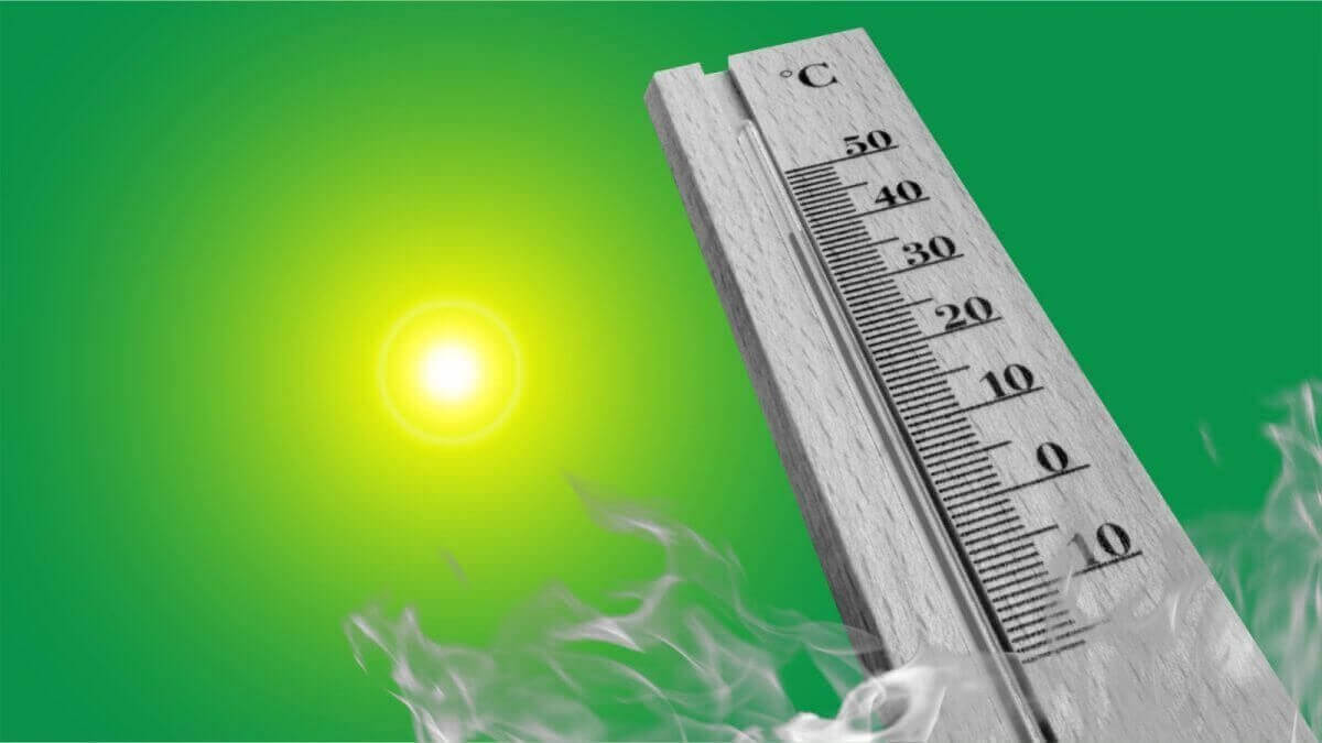 Жара не отступает: +34 градуса ожидается в Шымкенте