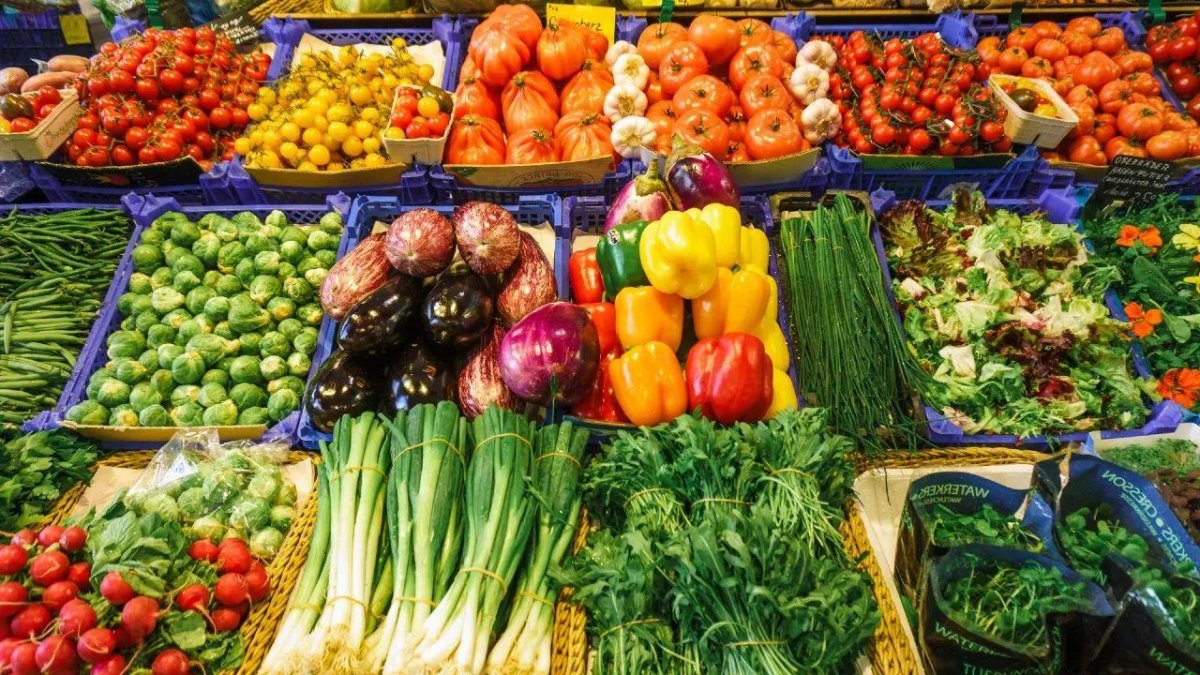 Фермеры двух областей представят свою продукцию в Астане