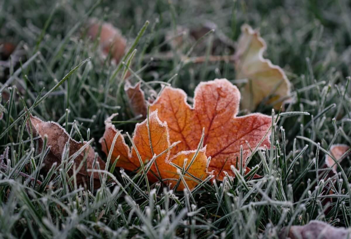 Пыльная буря и заморозки ожидаются в Казахстане 5 сентября