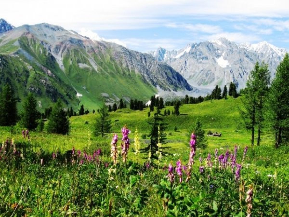 Более 70 надписей со скал в Катон-Карагае стерла семья из Усть-Каменогорска (ВИДЕО)