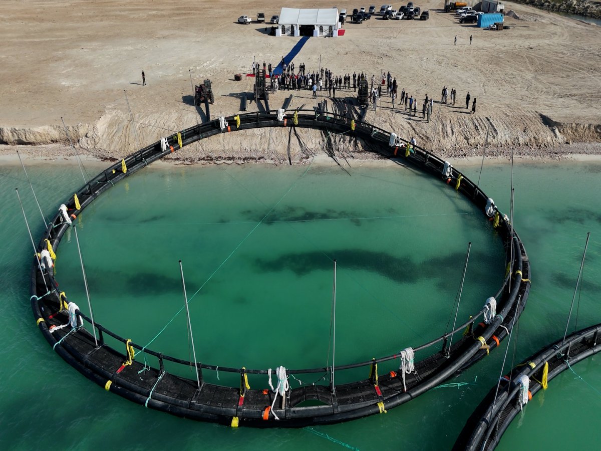 Проект по развитию морской аквакультуры начался в Мангистауской области