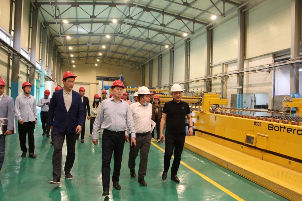 Экологические проблемы Кызылординской области взяли под контроль мажилисмены