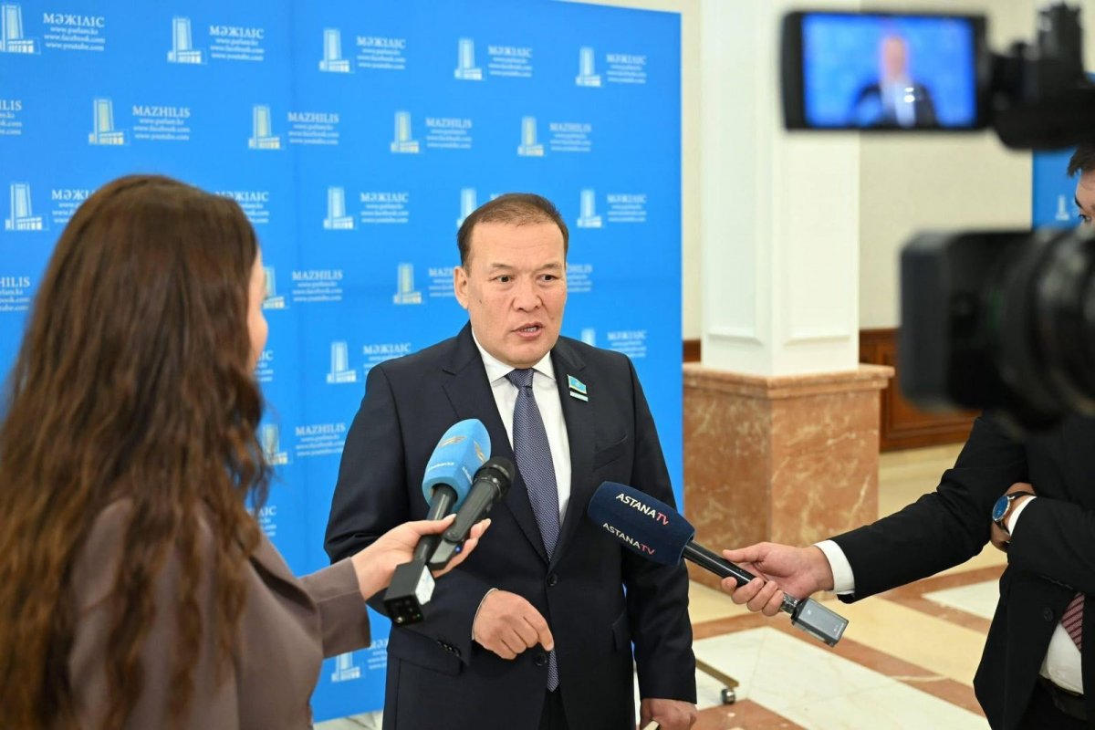 "Глава государства задал цифровой тон Послания" - депутат Мажилиса