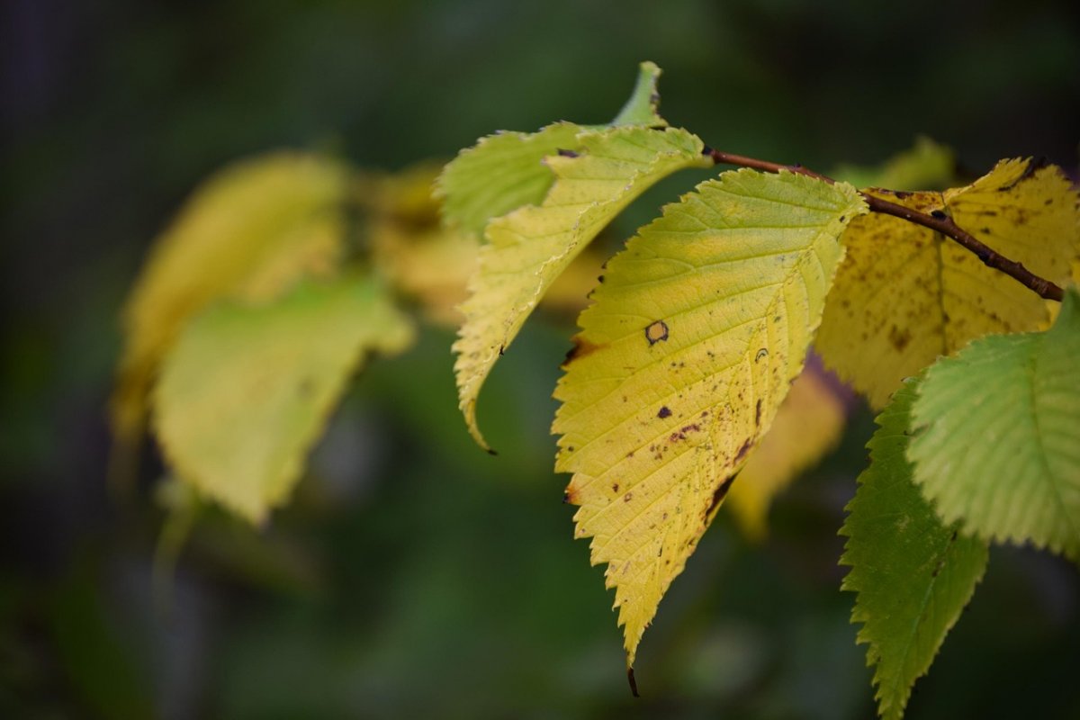 Какой будет погода 9 сентября в Казахстане: прогноз "Казгидромета"