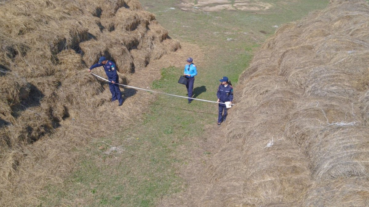 Уничтожающие заготовки сена пожары начались в Восточном Казахстане
